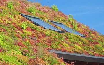 Middle Duntisbourne living roof systems